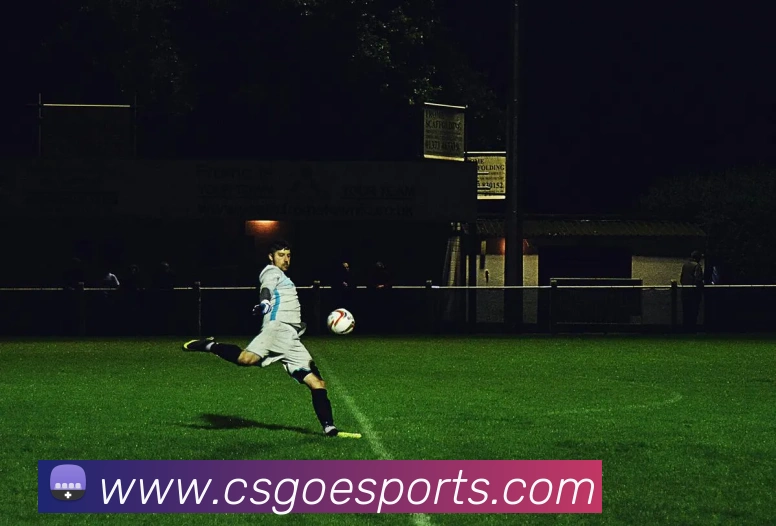 体育下注品牌故事